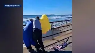Man dressed in 'Trump' inflatable allegedly attacked during 'No Kings' protest
