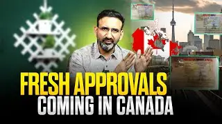 These Profiles got Canada Study Visa: Here's How You Can Too!