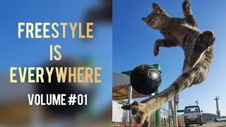 Freestyle is Everywhere #01