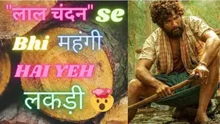 "लाल चंदन" se bhi महंगी h yeh लकड़ी🤯 |Most expensive wood in the world | Era of programming