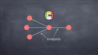 El paradigma de la complejidad, pt. 2/3