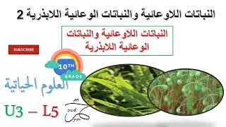 النباتات اللاوعائية والوعائية اللابذرية - العلوم الحياتية للصف العاشر - المنهاج الاردني 2024