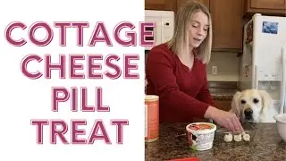 Homemade, No Bake, Cottage Cheese Dog Pill Treat to Trick your Dog into taking their medication.