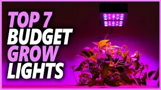 Best Budget Grow Light In 2024 | Top 7 Best Grow Lights For Plants