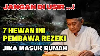 Jangan Diusir! 7 Hewan Ini Tanda Rezeki Besar Akan Datang