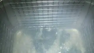 BMW E46 M3 S54 injector ultrasonic cleaning