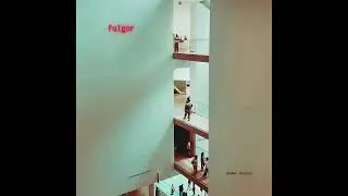 fulgor - Jaume Oliver