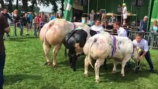 VID 20170813 WA0000