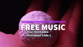 Kiwi Stonkadoo - Activation Code 1.0 - [Free Music for Streaming]