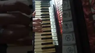 As Andorinhas - Solo Simplificado