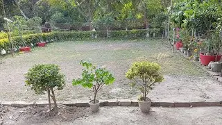 আবারও চলে এলাম Live এ