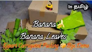✈️ Export Packing Box 📦 Demo