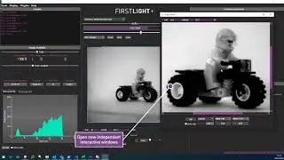 Introduction to First Light Vision GUI