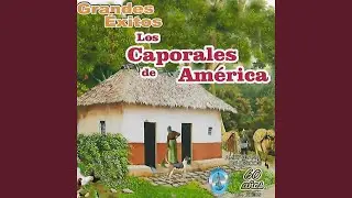 Mil Ruegos