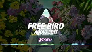 free bird - lynyrd skynyrd [edit audio]