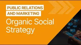 How Do I Launch a Data-Driven Social Strategy?