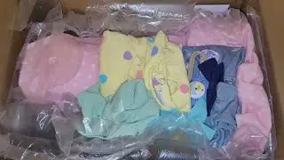 Birthday Reborn Box Opening!