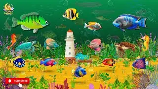 🌙 Baby Sleep Music  Soothing Lullaby with Fish Animation to Help Babies Fall Asleep Fast 🐠