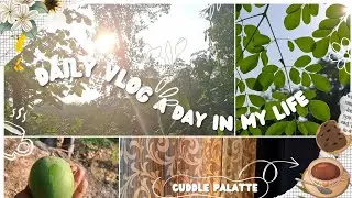 Daily volg # A day in my life ## cuddle palatte