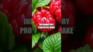 The Surprising Benefits of Red Raspberry Seed Oil for Skin