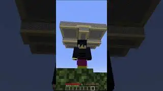 so i had an idea  #minecraft #hermitcraft  #shorts