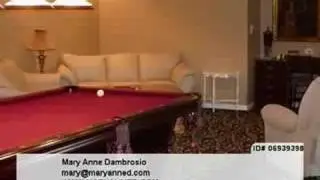 Homes for Sale Willow Springs IL Mary Anne Dambrosio