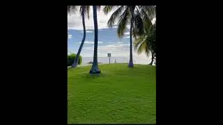 Discovering Paradise: A Visit to Limetree #Resort in St. Thomas, Virgin Islands 🇻🇮 | #Travel Vlog