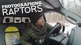 Photographing Raptors Problems - EVERY WILDLIFE PHOTOGRAPHER CAN RELATE!!!