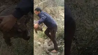 Real Life in a Hill Village | Simple Living, Hard Work#MountainVillage #VillageLife