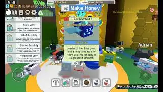 Transforming a Gifted Bucko Bee in Bee Swarm Simulater on Roblox