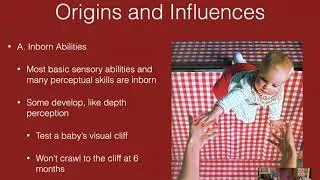 Chapter 6.5 Perceptual Powers and 6.6 Puzzles in Perception