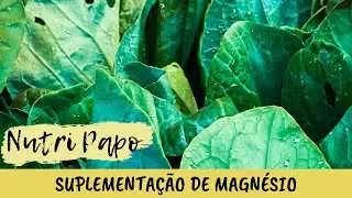 NUTRI PAPO | SUPLEMENTA&Ccedil;&Atilde;O DE MAGN&Eacute;SIO