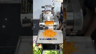 Vegetable Cutting Machine | Automatic Vegetable Cutter | Commercial Veg Cutter