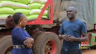 Obugagga mu kulima omuceere ne Flavia Luyiga |  Enimiro Zaabu