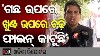 ‘ଗଛ ଉପରେ, ଖୁଣ୍ଟ ଉପରେ ଚଢ଼ି ଫାଇନ୍ କାଟୁଛି’ | Odisha Reporter