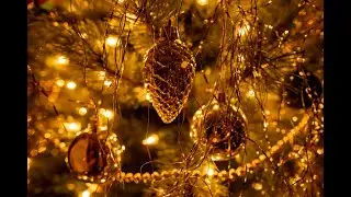 Best EDM Party 2024 | 4K Holiday Special | Remixes of Popular Songs