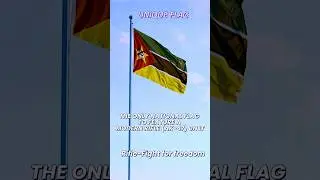 MOZAMBIQUE: A GUN ON FLAG, LION IN THE WILD 🇲🇿 #flag #mozambique #africa #facts #quiz #countryflag