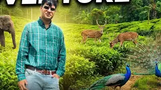 On our way to #ootytrip Vlog | Bandipura Tiger Reserve | Our Thrilling Journey  & #animal #safari