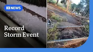 BOM defends its warning system following violent storm event in Port Pirie | ABC NEWS