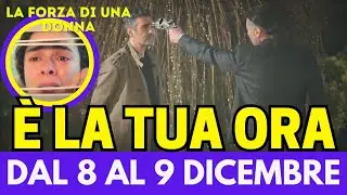 LA FORZA DI UNA DONNA: Bahar assiste terrorizzata alla scena tra Sarp e Nezir, ma poi accade che...