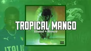 Pasto Flocco - Tropical Mango (Slowed To Perfection) ♪