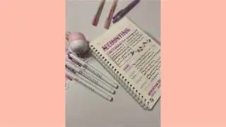 How I write my notes- Accounting notes // 2 peace crafts