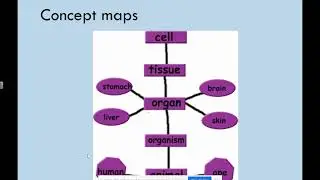 Trust CPD: Improving Literacy in Science
