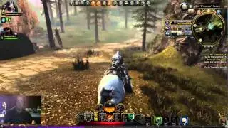 neverwinter live stream