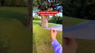 Ninja paper plane short craft idea / kids crafts video #shorts #easycraftswithsabbo