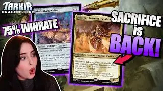 We built the BEST Felothar deck in Standard! | Ranked MTG Arena