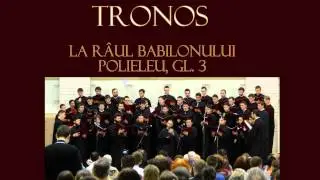 LA RÂUL BABILONULUI
