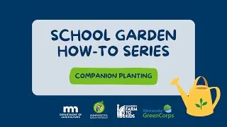 Companion Planting in Your Garden | School Garden Series