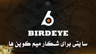 آموزش سایت BIRDEYE | سایتی برای شکار میم کوین ها