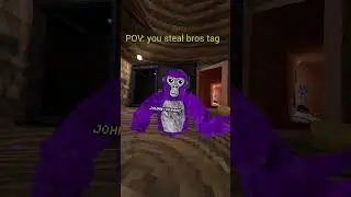POV: you steal bros tag